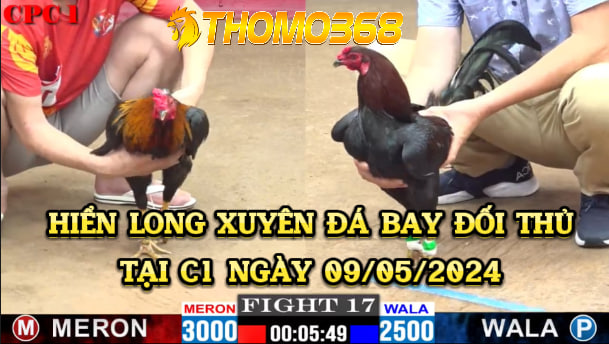 Hiển Long Xuyên đá bay đối thủ tại C1