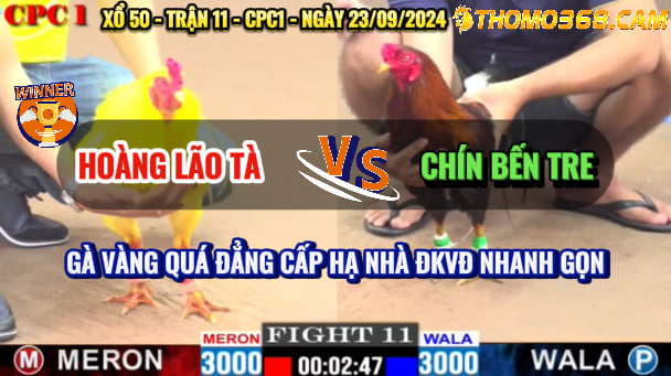 Trận 11 CPC1 23/09/2024