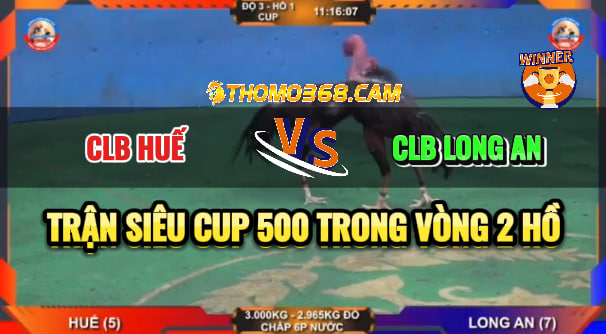 Siêu Cup 500 Giữa Huế Và Long An