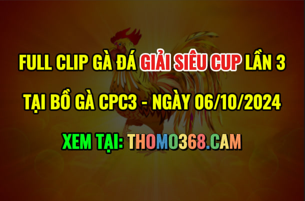 Gà Đá Giải Siêu Cup CPC3