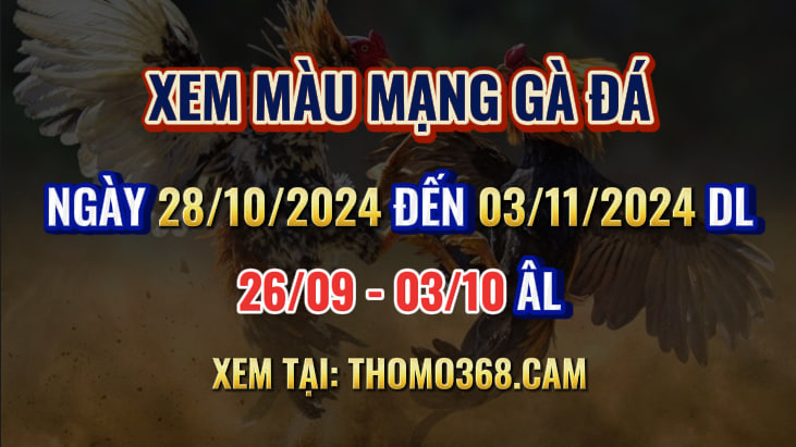 Màu Mạng Gà Đá Ngày 28/10/2024 Đến 03/11/2024