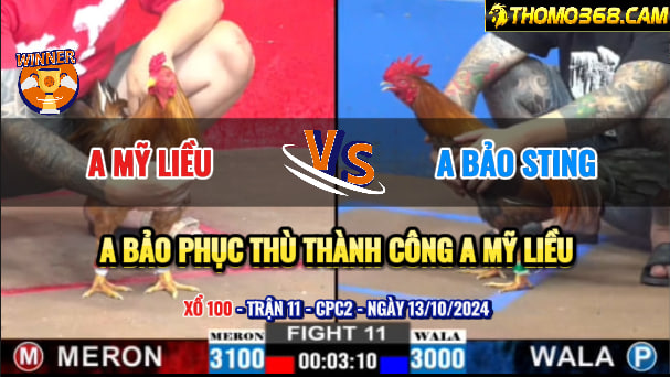 Trận 11 CPC2 Ngày 13/10/2024