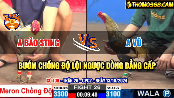 Trận 26 CPC2 Ngày 13/10/2024