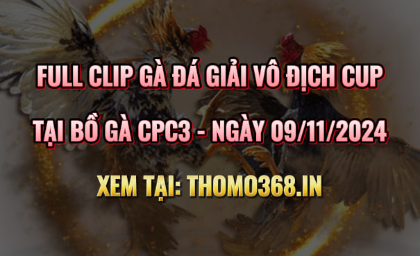 Gà Đá Giải Vô Địch Cup CPC3 09/11/2024