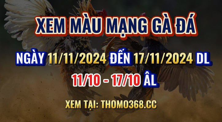 Màu Mạng Gà Đá Ngày 11/11/2024 Đến 17/11/2024