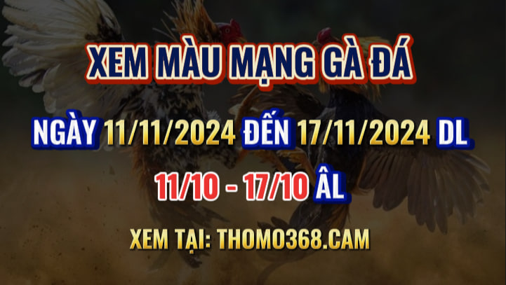 Màu Mạng Gà Đá Ngày 11/11/2024 Đến 17/11/2024