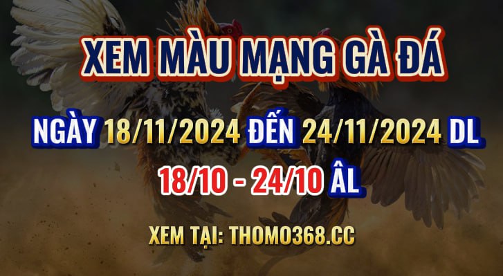 Màu Mạng Gà Đá Ngày 18/11/2024 Đến 24/11/2024