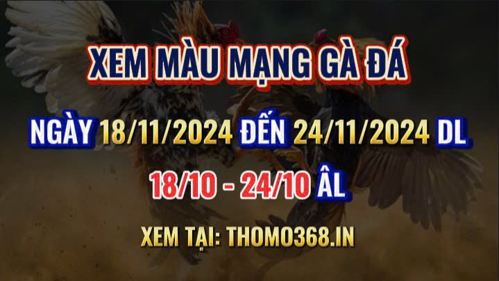 Màu Mạng Gà Đá Ngày 18/11/2024 Đến 24/11/2024